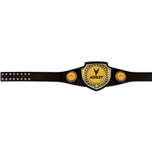 Shield Championship Belts Black - Antiqued Gold