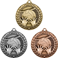Stock Small Academic Sports Laurel Medals Volleyball