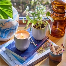Modern Sprout(R) Garden Vibes Candle / Planter