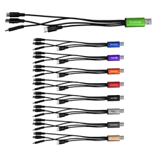 4- in -1 Dual Input Accent Cable