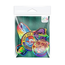 5 Pack Holographic Stickers