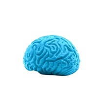 Pencil - Top Eraser Brain