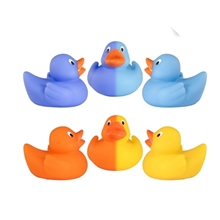 Lil Color - Changing Duck