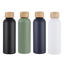 Lexi 17 oz Eco - Friendly Vacuum Stainless Steel Bottle w / Bamboo Lid