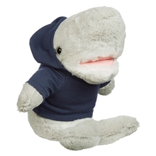6 Salty Shark