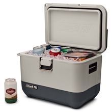 Coleman(R) Pro Series 17- Quart Hard Cooler
