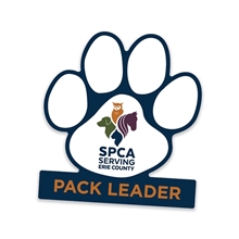 Paw Shape Decal with Footer