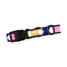 1 Sublimated Pet Collar with Gold - Colored Hardware - Large