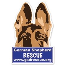 Custom Shape Magnet - up to 11 sq inches