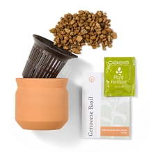 Modern Sprout Tiny Terracotta Big Congrats