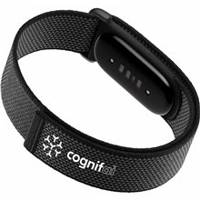 Google Fitbit Air