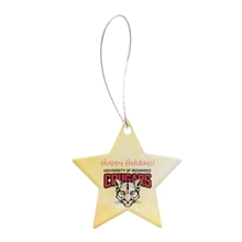 Star Acrylic Ornament