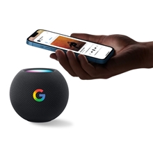 Custom Apple HomePod Mini
