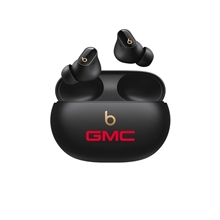 Custom Beats - Studio Buds + True Wireless Noise Cancelling Earbuds