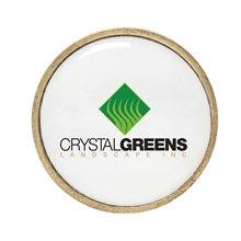 1 Metal Ball Marker