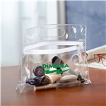 Traveler Security Bag