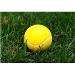 Tennis Ball Stress Reliever