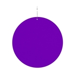 2 1/2" Purple Circle Plastic Medallion Badges