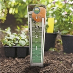 Magnifying Rain Gauge — 12 1/2" H