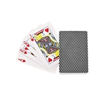 Playing Cards In Case