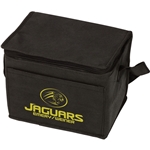Insulated 6 Pack Cooler Bag