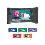 Pet Wipes in Pouch