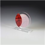 Basketball Achievement Award