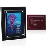 Floating Glass Plaque - 8" x 10"