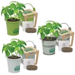 Mini Pail Blossom Kit