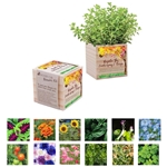 Wooden Cube Blossom Kit