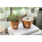 Mini Bamboo Blossom Kit