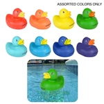 Colorful Duck