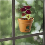 Wall Sprouts Planter Blossom Kit