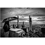 46" arc – The Volt