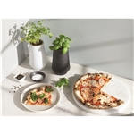 Modern Sprout Tapered Tumbler Grow Kit