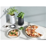 Modern Sprout Tapered Tumbler Grow Kit