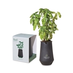 Modern Sprout® Tapered Tumbler Grow Kit