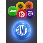 Color LED Lighted Glow Balls