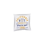 16" x 16" Indoor Pillow Kit Single-Sided