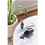 Modern Sprout® Plant Parent Care Kit