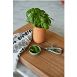 Modern Sprout® Growing Gourmet Gift Set