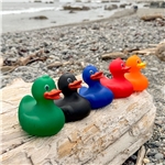 Rubber Duck