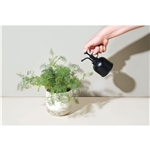 Modern Sprout® Plant Parent Mister