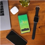 3 Fold Charger