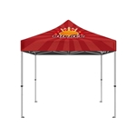 10' x 10' Canopy Package