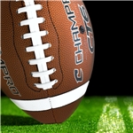 14" Champro Full Size Footballs