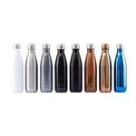 17 oz Serendipity Bottle with Speaker Lid