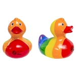 Rainbow Duck