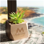 Geometric Wooden Planter with Succulent