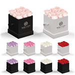 Classique By Vef Le Mini™ Square